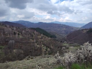 nature and panorama of the countryside in Sebia
