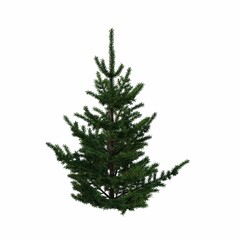 Christmas tree with decorations, isolated on white background, 3D illustration, cg render