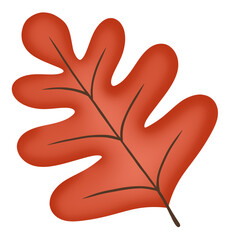 autumn elements illustration of Oak leaf
