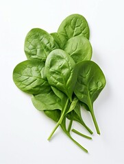 Fresh green spinach leaves on a clean white background
