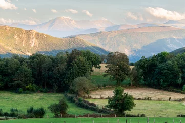 Foto op Canvas paisaje montañoso con barias montañas al fondo y numerosos arboles  © ismael
