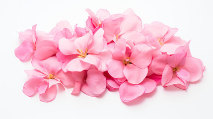 A bunch of pink petals on a white background