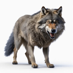 Obraz premium Wild hungry wolf