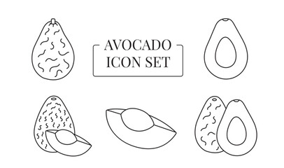 Avocado fruit whole and half, cut into slices, set of line icons in vector.