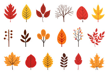 Obraz premium Colorful autumn leaves icon set. Vector, illustration, isolated on white background.