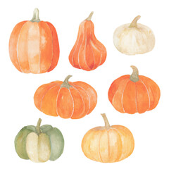 Beautiful autumn pumpkins, illustrated vector watercolors