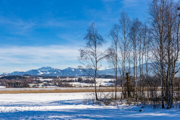 Snowy Bavarian Countryside with Mountains in the Background, Germany, Europe