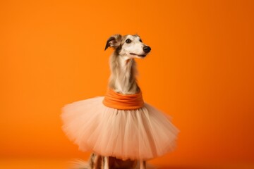 Lifestyle portrait photography of a smiling borzoi wearing a tutu skirt against a bright orange background. With generative AI technology