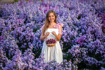 Obraz na płótnie Canvas Woman in dress holds a basket of wildflowers in a vibrant summer meadow at sunset. Purple lupines and colorful blooms surround her. Meadow Sunset with Wildflowers. Beauty in Nature