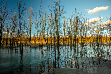 Mystical frozen lake at sunset. Sand and dried old trees