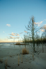 Mystical frozen lake at sunset. Sand and dried old trees