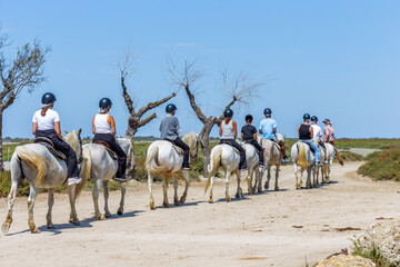 Promeneurs à cheval en Camargue 