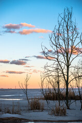 Sunset in forest with frozen lake. Naked tress, red sunset. 