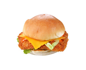 Delicious hamburger transparent png
