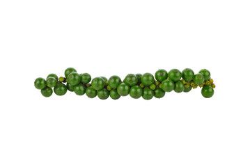 green peppercorns transparent png