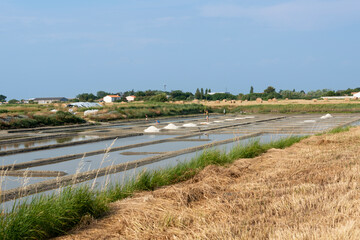 Marais salants, Beauvoir sur Mer , Marais Breton, Vend&eacute;e,  85, France