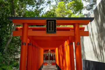 Ikuta Shrine , Shinto Shrine in Kobe during summer at Kobe Honshu , Japan : 2 September 2019