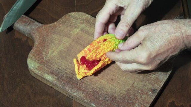 Momordica Charantia Fruit Bitter Melon in the Hands of Chef Close Up 

