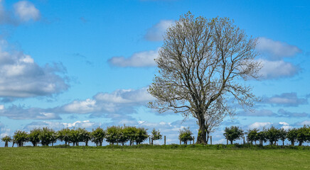 Blue sky wallpaper sunny day contryside 
