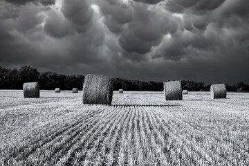 Agriculture, stormy sky over wheat field with straw bales