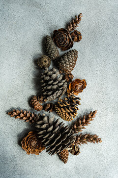 Assorted pinecones arranged on a table in the shame of a Christmas tree