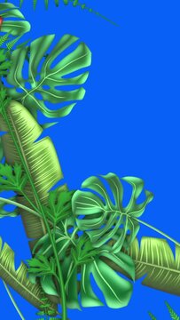 Tropical plants, loop-able from 20:00 to end. Blue screen chroma key. Monstera, Banana Palm. Leaves, ferns, flowers animation on blue background, with copy space. Vertical video.