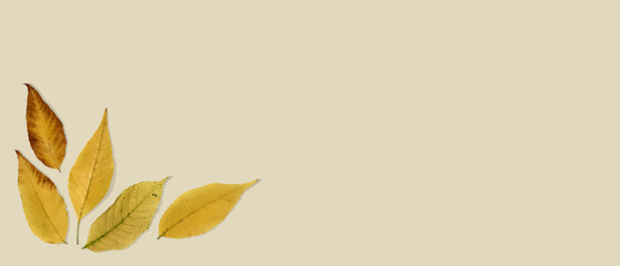 Blank gold card for copy space with golden autumn leaves.