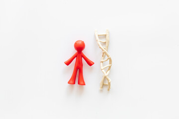 Human rubber figurine and DNA molecule model. Heredity concept