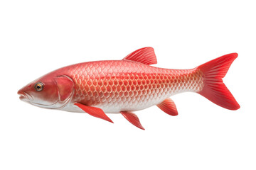 Red Baitong Isolated on Transparent Background - Generative AI