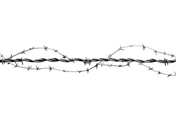 Barbed Wire Isolated on Transparent Background - Generative AI