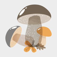 Three ripe edible autumn mushrooms of different transparency and fallen leaves isolated on a gray background. Design element for abstract background, wallpaper, textile, fabric, wrapping paper