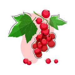 Branch of ripe red currant with leaves and different transparency isolated on a white and pink background. Design element for abstract background, wallpaper, textile, fabric, wrapping paper