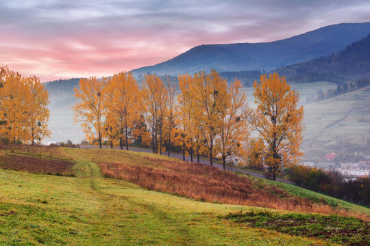 mountainous countryside in autumn at dawn. small arable on the grassy slope. trees in orange foliage on the hillside. fog in the rural valley. misty weather with dramatic sky