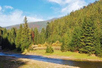 mountainous countryside scenery with river. carpathinan nature landscape in fall season. spruce trees on the shore