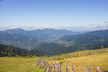 Naklejka premium Mountain range view with pine trees