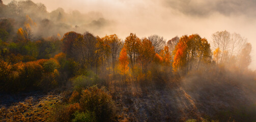 Mystical Mountain Mornings: Early Light Filters Through Mist and Golden Forest