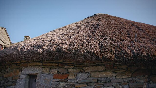 palloza from o cebreiro in galicia wide shot of the thatched roof