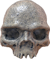 Skull Isolated on a Transparent Background