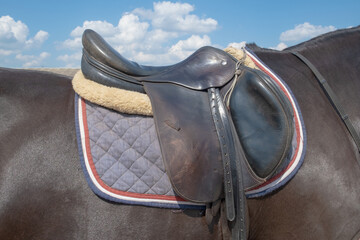 A saddle on a horse. Saddled brown horse on the ranch.