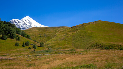 Obraz premium landscape of green grass and snowy mountains. landscape in nature