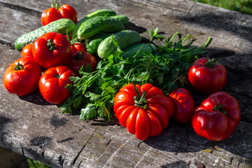 Fresh tomatoes, cucumbers and parsley on an old wooden table. Summer harvest in the garden