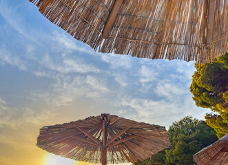 Straw beach umbrellas photographed at sunset.