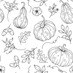 Elegant floral Seamless pattern with outline pumpkins. Thanksgiving Background. Line Art Pumpkin Seamless Background 