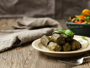 traditional food dolma in grape leaves