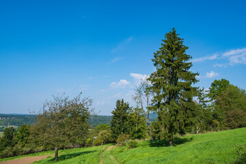 Dirt road up to Ehrenbürg, also called Walberla, near Kirchehrenbach/Germany in Franconian Switzerland