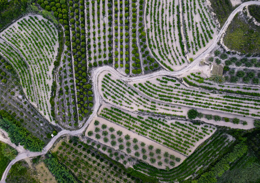 Aerial view of a serpentine road in a green agricultural fields, Zona Encinas, Cumbre del Sol, Alicante, Spain.