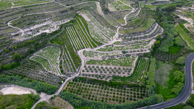 Aerial view of a serpentine road in a green agricultural fields, Zona Encinas, Cumbre del Sol, Alicante, Spain.