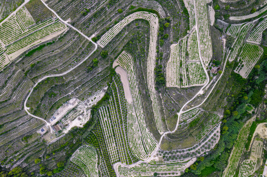 Aerial view of a serpentine road in a green agricultural fields, Zona Encinas, Cumbre del Sol, Alicante, Spain.