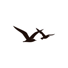  vector bird icon on white background