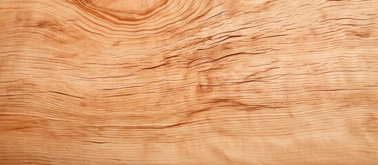 Obraz premium Abstract wooden background featuring a scratched beech cutting board surface